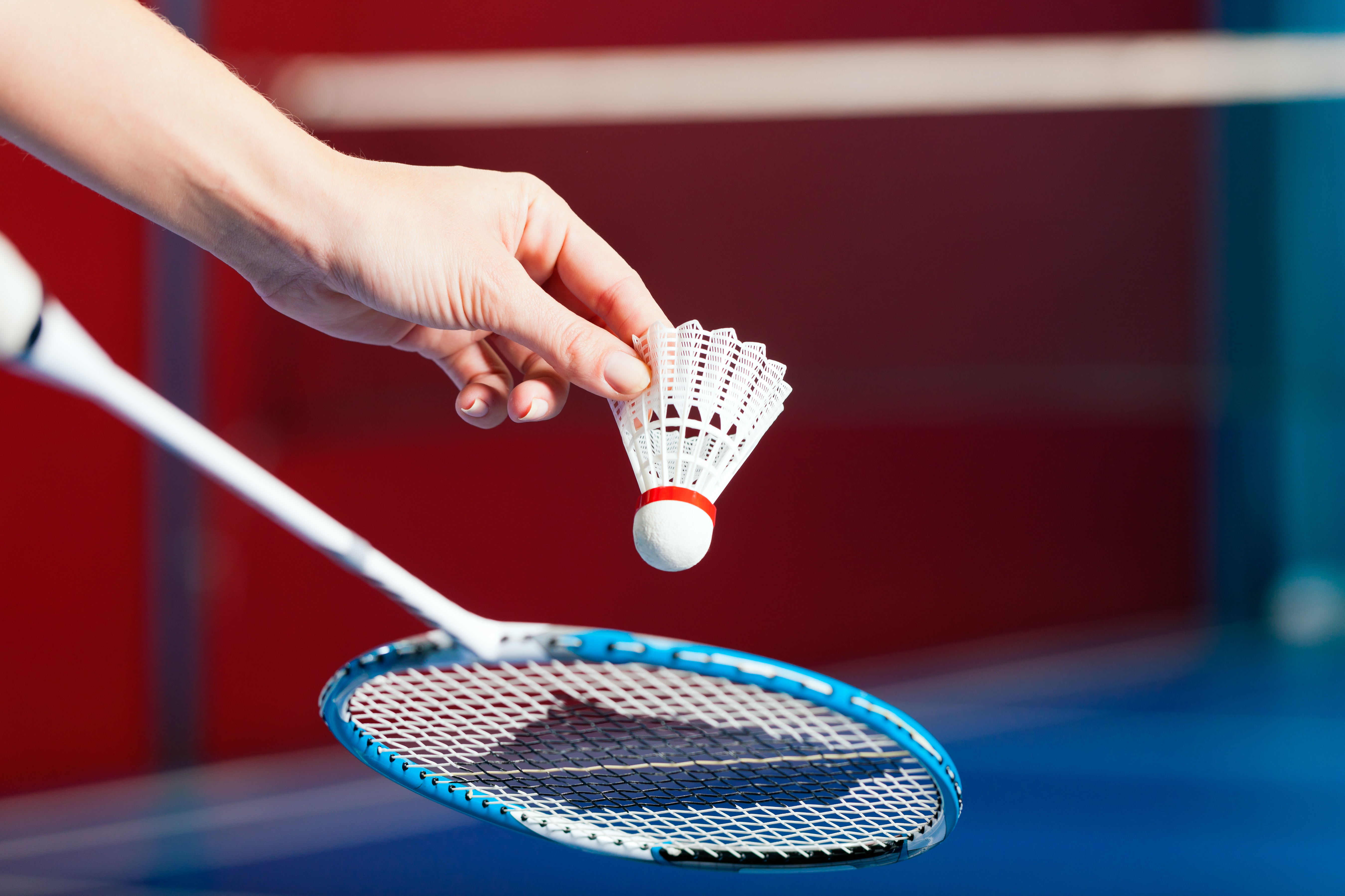 Tournoi Badminton Famille (à partir de 8 ans)