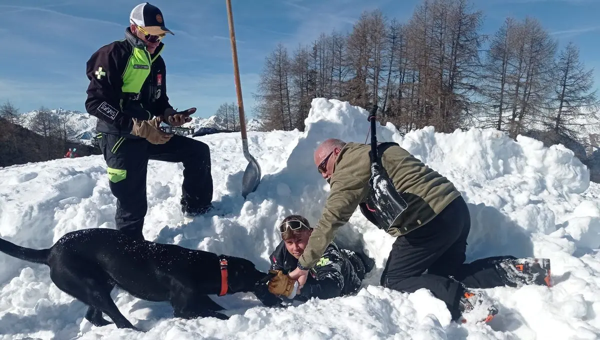 Découverte du secours en montagne avec un chien d'avalanche